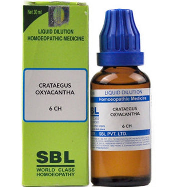 https://cdn.shopify.com/s/files/1/1857/6931/products/KTwvB8Iw0f.jpg?v=1635937080